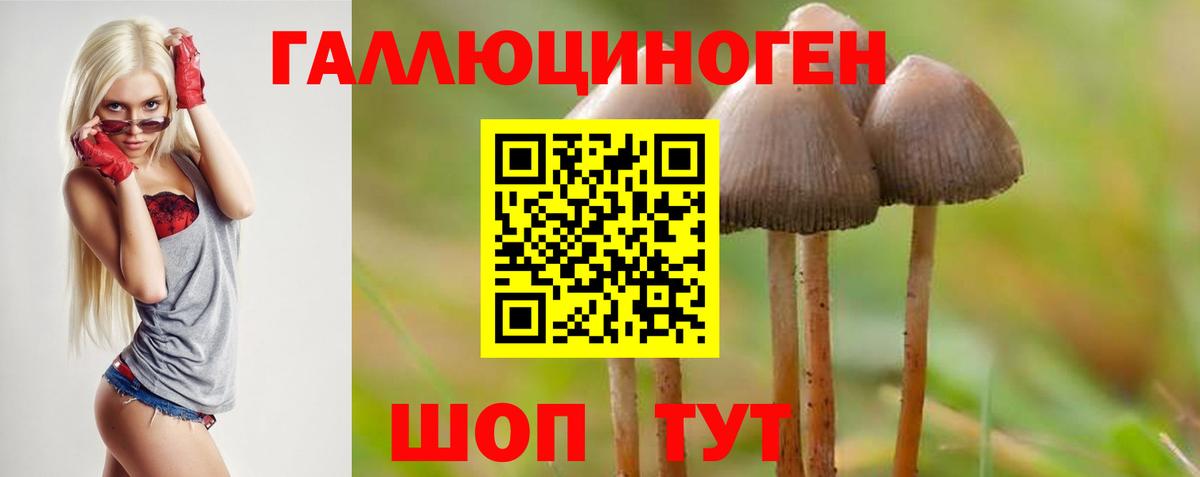 Галлюциногенные грибы мухоморы  Вход с VPN  Зерноград 